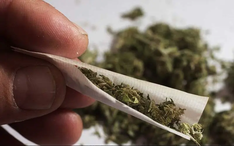 Visakhapatnam Police raid hostels for drug peddlers