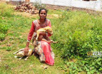Dog’s best friend: An animal lover from Vizag serves the voiceless strays