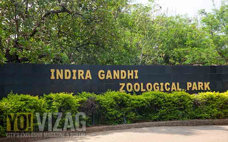 Indira Gandhi Zoological Park, vizag