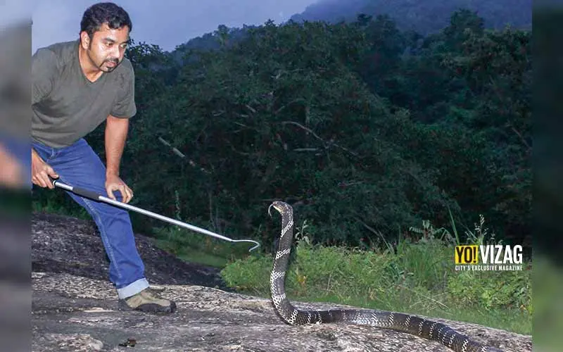king cobra, visakhapatnam
