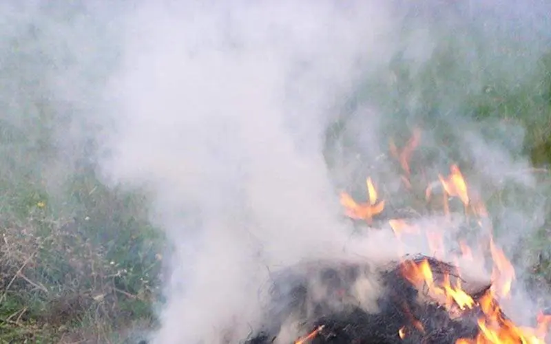 ganja destroyed, visakhapatnam