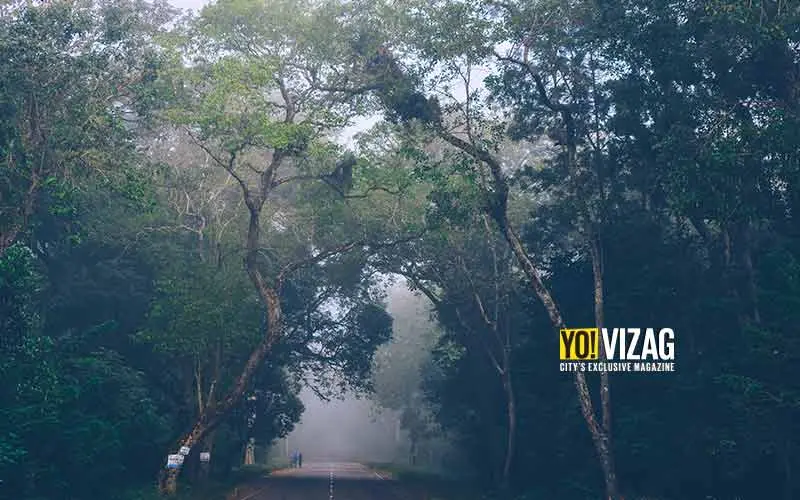 APTDC proposes to add more tents at Lambasingi in Visakhapatnam