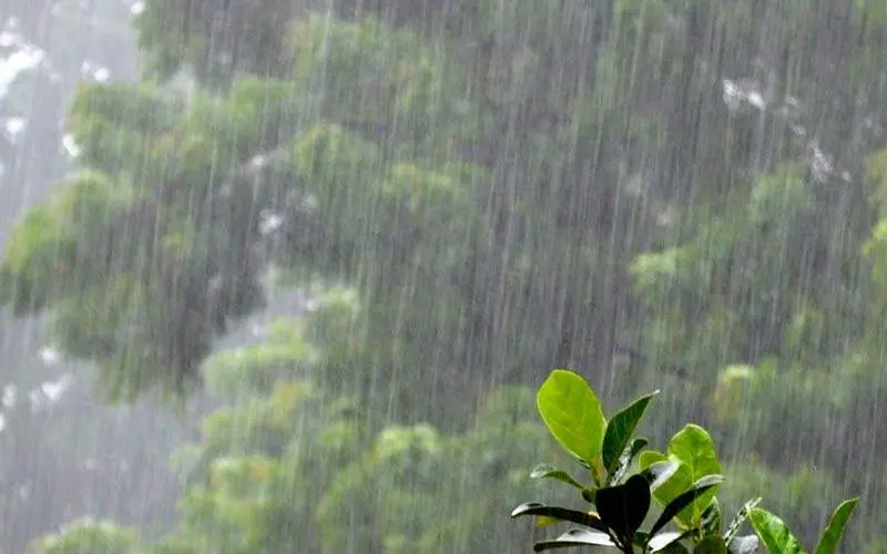 Weather Forecast: Visakhapatnam likely to receive light to moderate rains