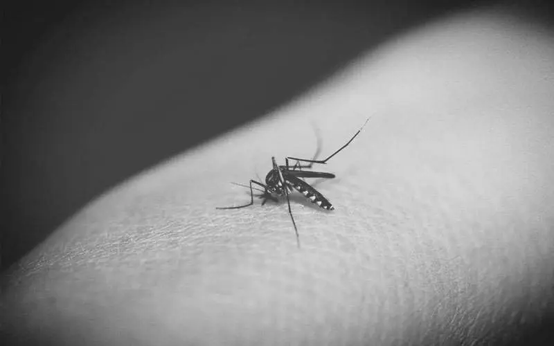 Dengue continues to rise in Andhra Pradesh, Visakhapatnam registers the highest number of cases
