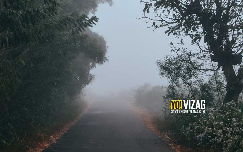 Fog blankets as winter sets in Andhra Pradesh