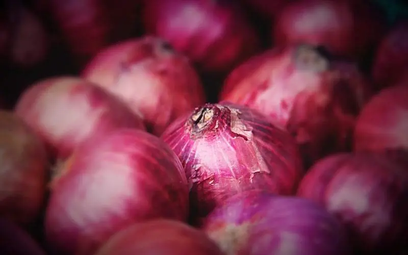 onion prices visakhapatnam