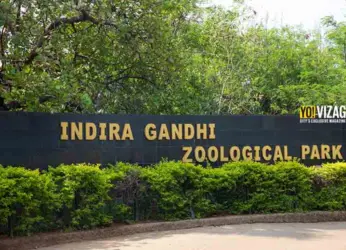 27-year-old Tigress Sita passes away at Animal Rescue Centre, Visakhapatnam