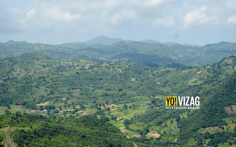 APTDC likely to introduce night safari in Araku and Lambasingi