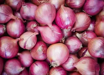 Onions chaos in Visakhapatnam: People hurl stones at rythu bazaar gates