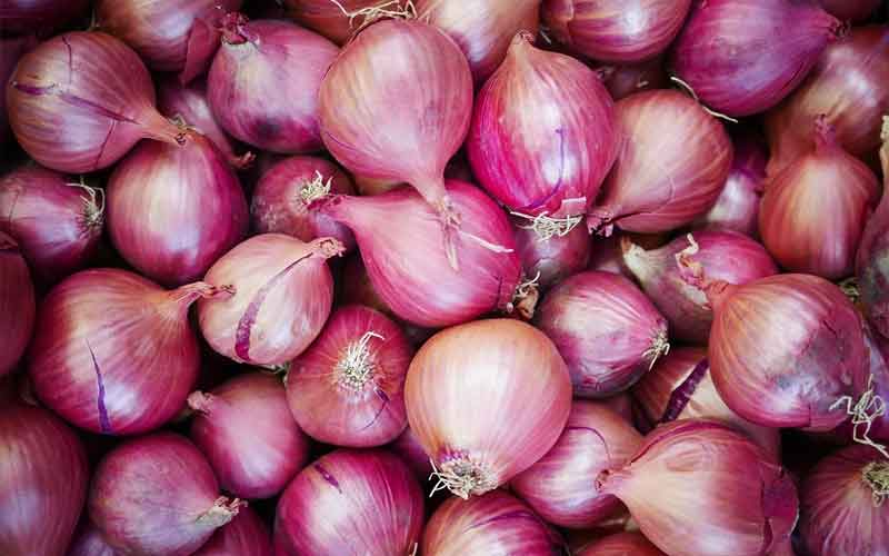 onions visakhapatnam