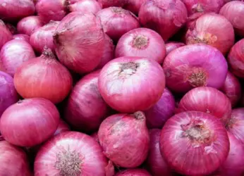 Krishnapuram onions to be sold at Rs 50 per kg in Visakhapatnam
