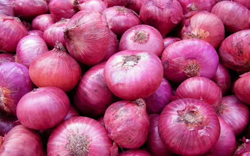 krishnapuram onions, visakhapatnam