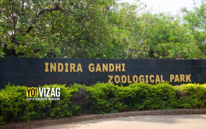 Visakhapatnam zoo to shut down for visitors with immediate effect