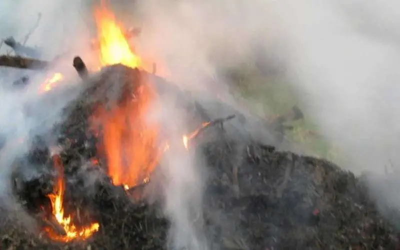ganja destroyed in vizag