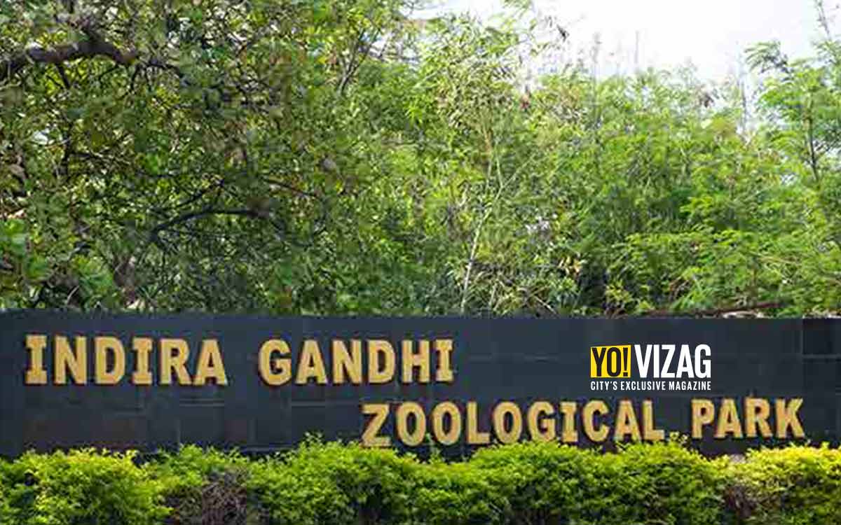 Tension prevails at Visakhapatnam zoo after bull elephant runs amok