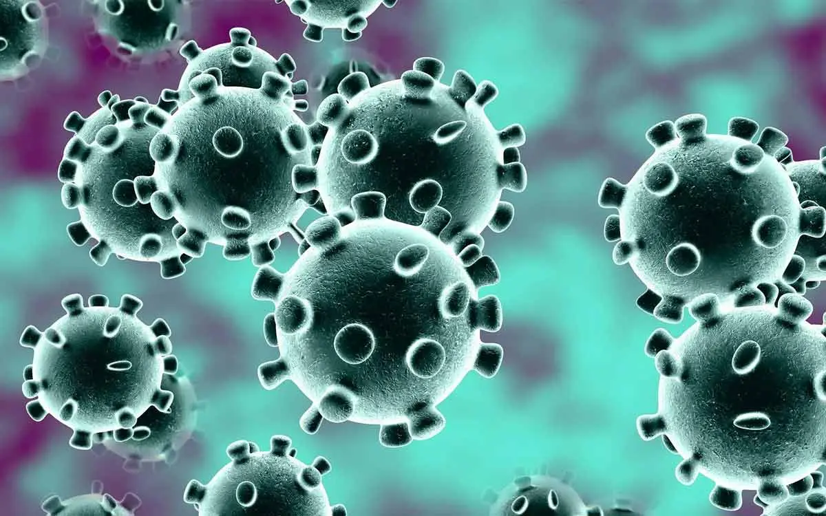 One Coronavirus (COVID-19) case confirmed in Hyderabad