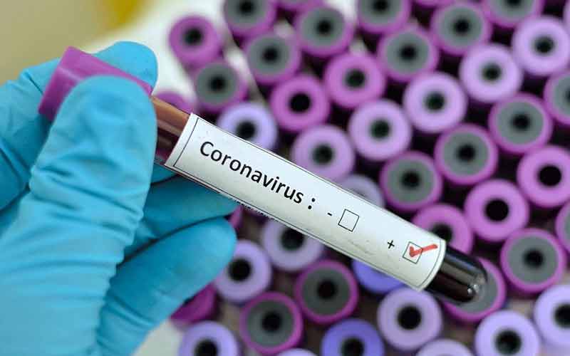 Andhra Pradesh reports 24 new coronavirus cases