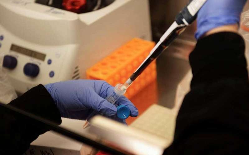 Coronavirus Update: Andhra Pradesh reports no case in 12 hours as 217 samples test negative