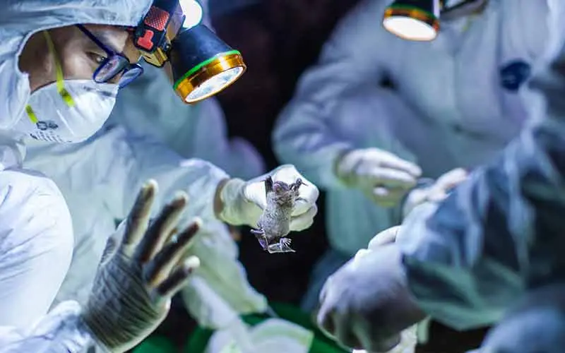 Kurnool coronavirus cases increase to 53, Andhra Pradesh stands at 252