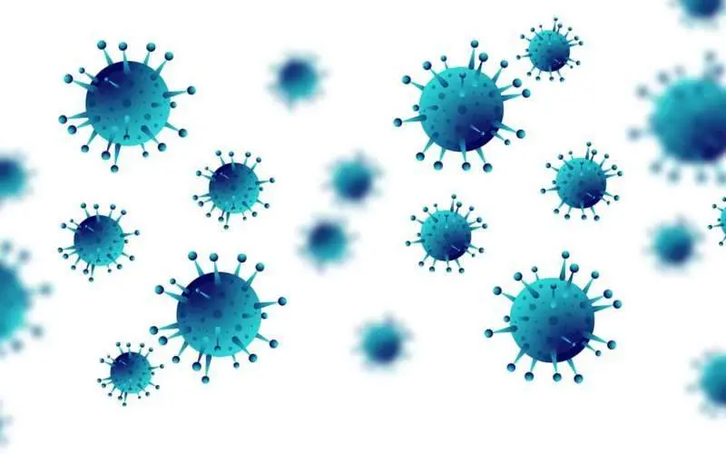 AP gets rapid test kits (RTKs) from South Korea | COVID-19 tally hits 600