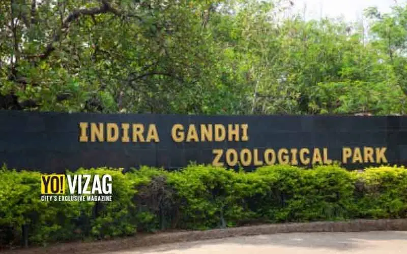 Vizag zoo steps up safety measures after New York tiger tests positive for COVID-19