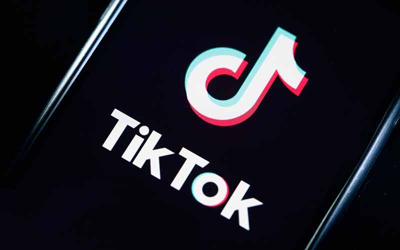 11 from Andhra Pradesh fall ill after trying TikTok 'remedy' for COVID-19