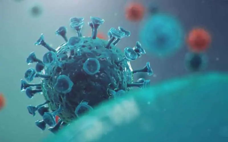 Dandu Bazar reports 2 more COVID-19 cases, Vizag count mounts to 37