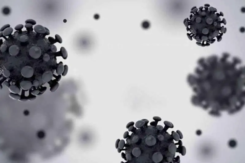 AP sees highest single-day spike in COVID-19 cases; tally crosses 6000