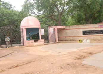 Vizag zoo to conduct online quiz on occasion of World Environment Day