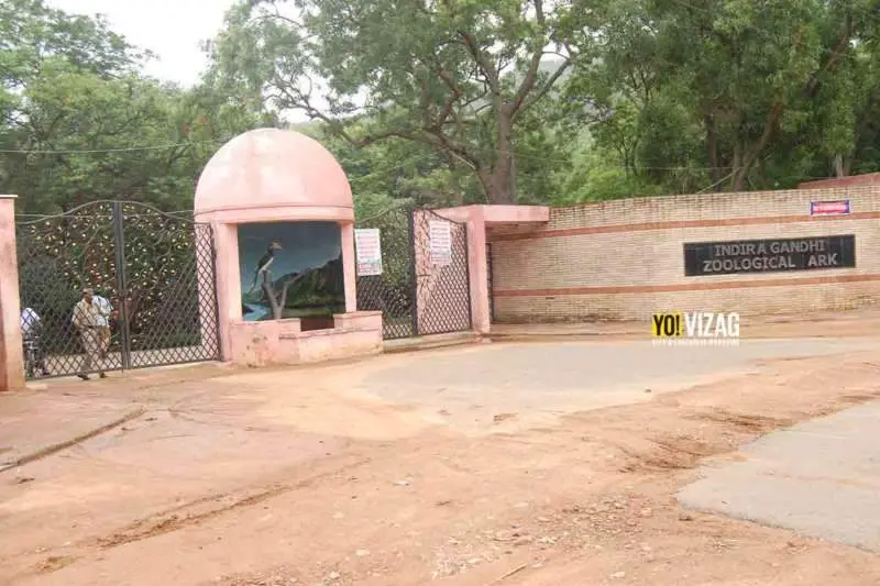 27-year-old lioness dies due to multi-organ failure at Visakhapatnam zoo