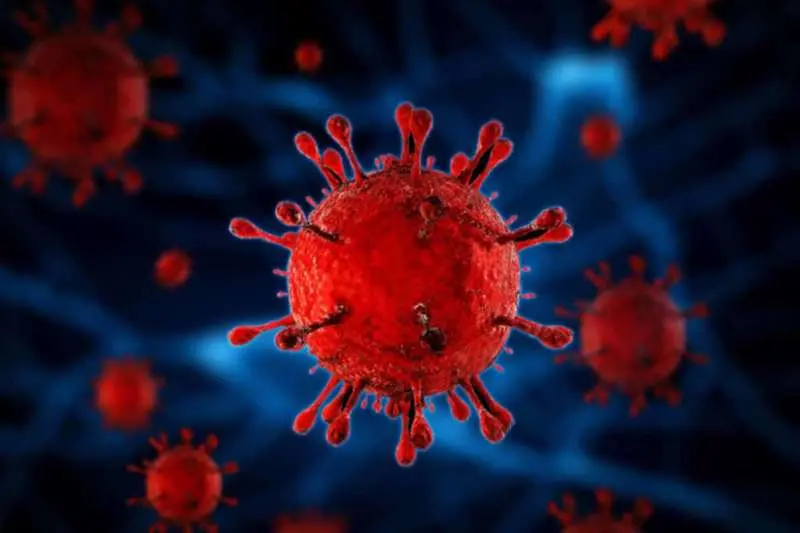 222 new COVID-19 cases registered in Andhra Pradesh, total rises to 5858