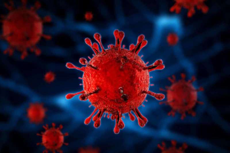 Andhra Pradesh COVID-19 update: 553 new cases detected, tally rises to 10,884