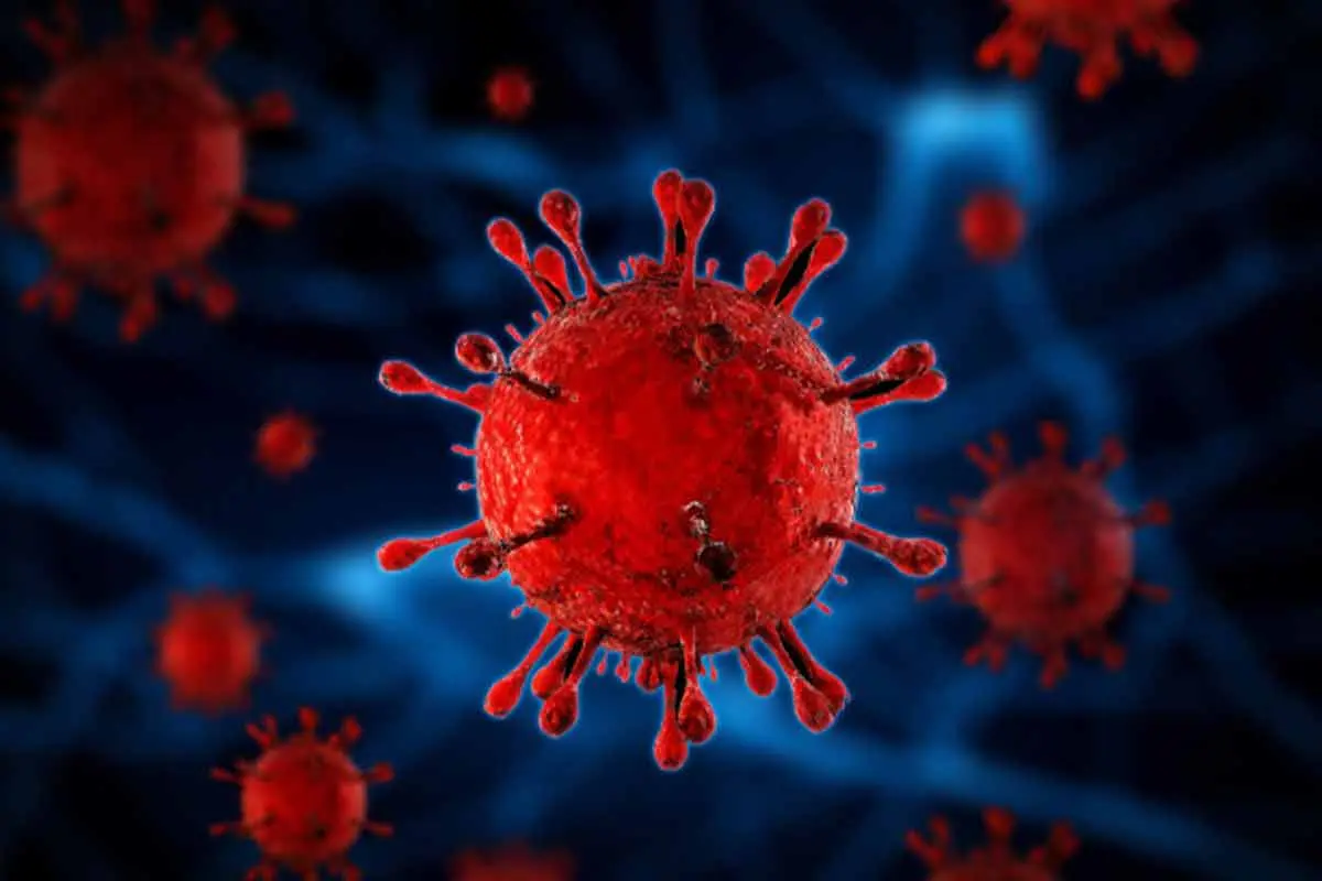 COVID-19 cases in Vizag near 200 as district records biggest single-day spike yet