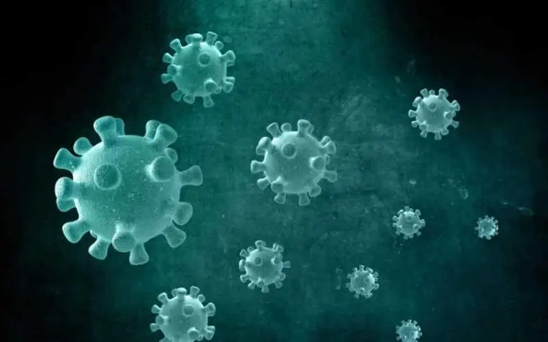 15 new COVID-19 cases reported in Visakhapatnam, district count reaches 179