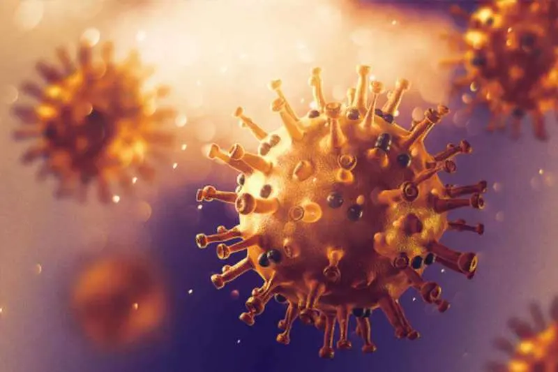 Visakhapatnam reports 12 fresh COVID-19 cases, district total rises to 238