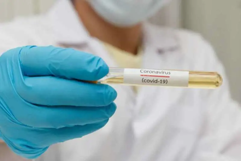 With 81 new coronavirus cases, Vizag district count reaches 2456