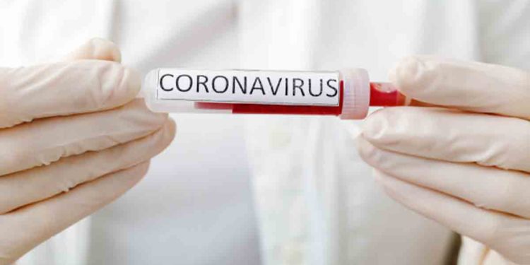Andhra Pradesh sees over 1300 new coronavirus cases in single day, tally crosses 20,000