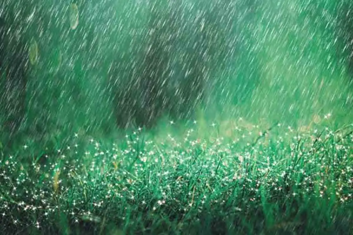 Heavy rainfall expected in parts of Andhra Pradesh over the next 24 hours