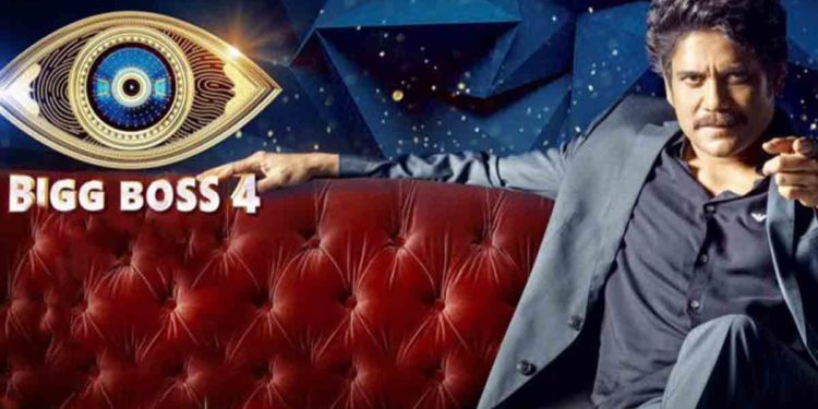 Bigg Boss 4 Telugu Week 5: How to vote online for your favourite contestants