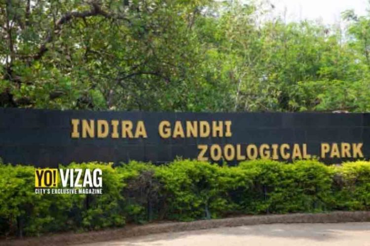 Vizag Zoo Park to be upgraded with world-class amenities