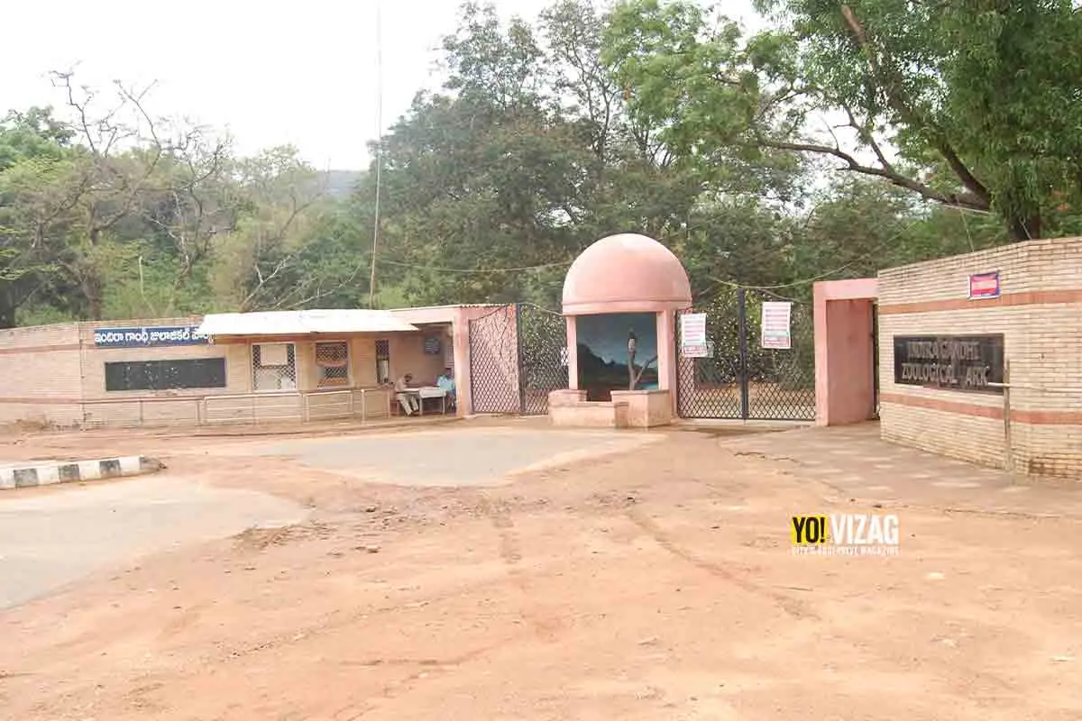 24-year-old tiger 'Vinay' dies at Animal Rescue Centre in Visakhapatnam