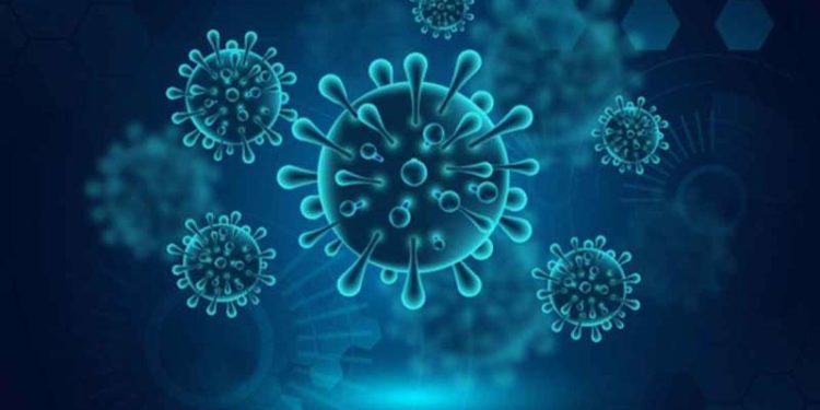 Coronavirus Update: 138 new cases reported in Vizag, AP tally rises by 4256