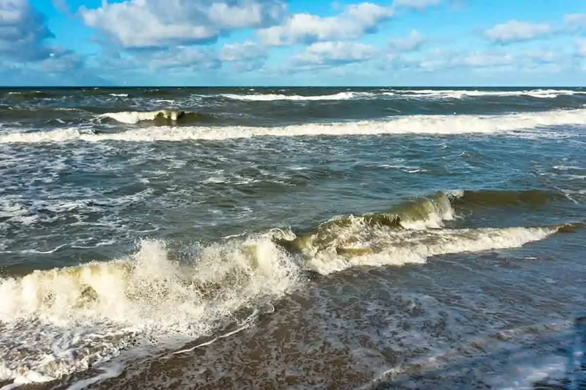 Cyclone Nivar Update: AP CM YS Jagan orders officials to be on alert