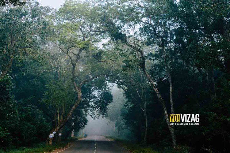 Temperature dips to 9.2 Celsius at Chintapalli in Vizag Agency
