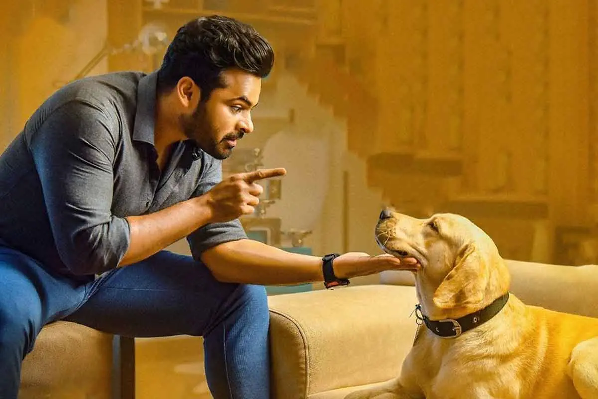 T-Town celebs pour in wishes as Solo Brathuke So Better hits theatres