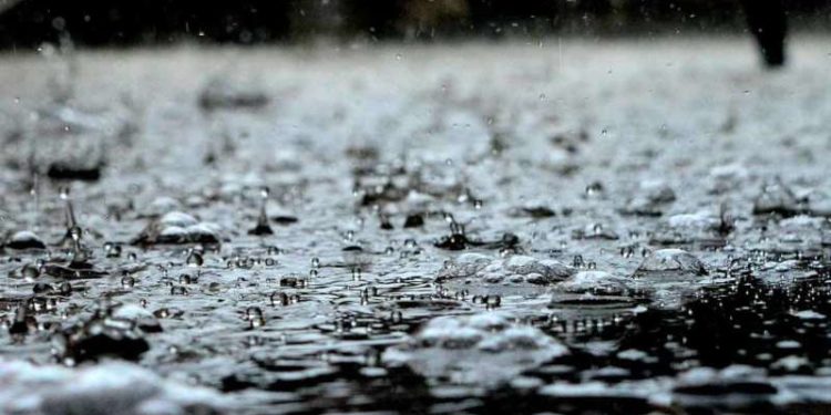 Andhra Pradesh Weather: Cyclone Nivar likely to cause rainfall, thunderstorms