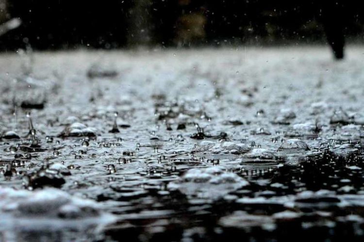 Andhra Pradesh Weather: Cyclone Nivar likely to cause rainfall, thunderstorms