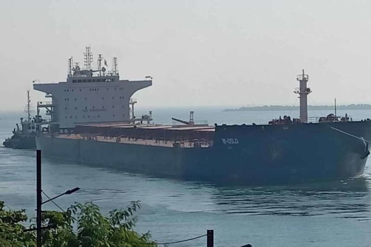 Vizag Port breaks its own record, handles 38-metre beam vessel