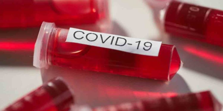 UK returnee to Andhra Pradesh detected with new variant of coronavirus