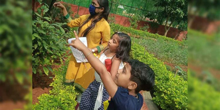 All you need to know about the Butterfly Walk Series at Vizag Zoo